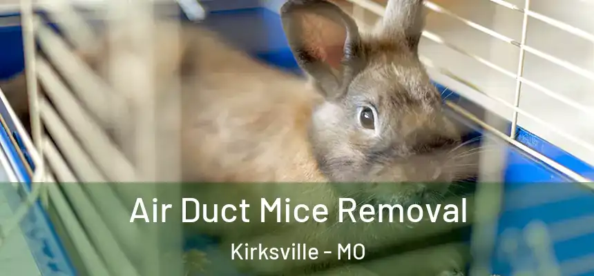 Air Duct Mice Removal Kirksville - MO