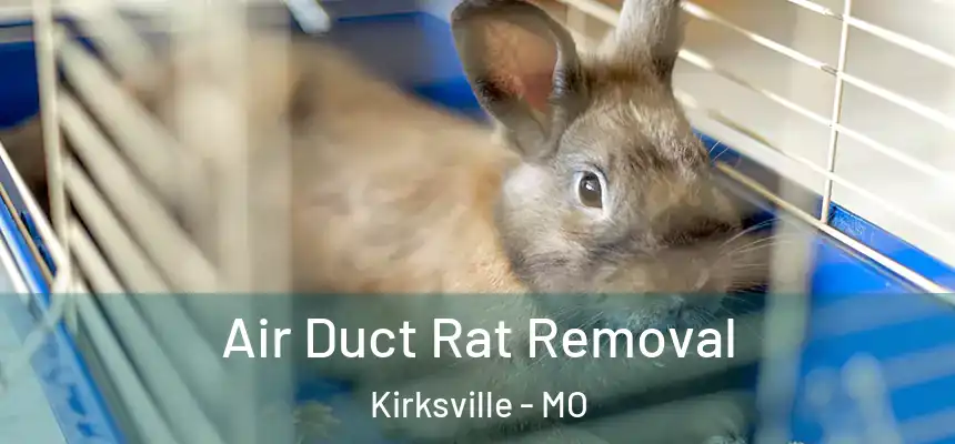 Air Duct Rat Removal Kirksville - MO