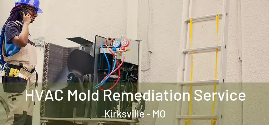 HVAC Mold Remediation Service Kirksville - MO