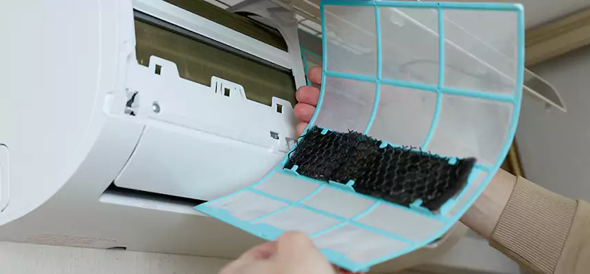 Gentle Ductwork Odor-Control Pet Dander Duct Cleaning in Kirksville, MO