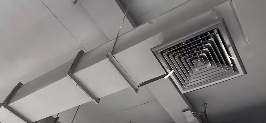 Our Rodent Droppings In Vents Services in Kirksville, MO