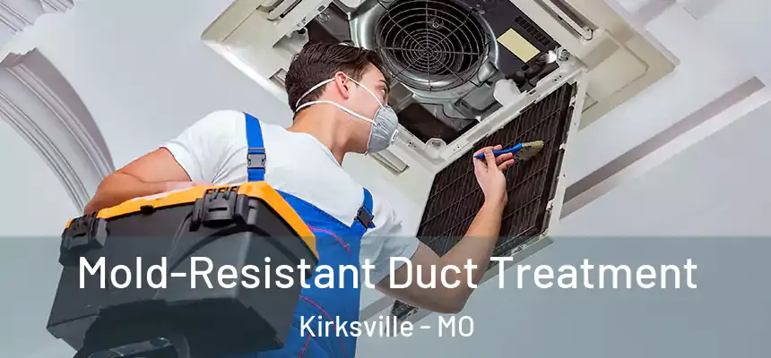 Mold-Resistant Duct Treatment Kirksville - MO
