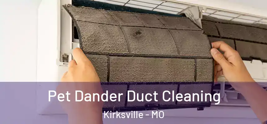 Pet Dander Duct Cleaning Kirksville - MO
