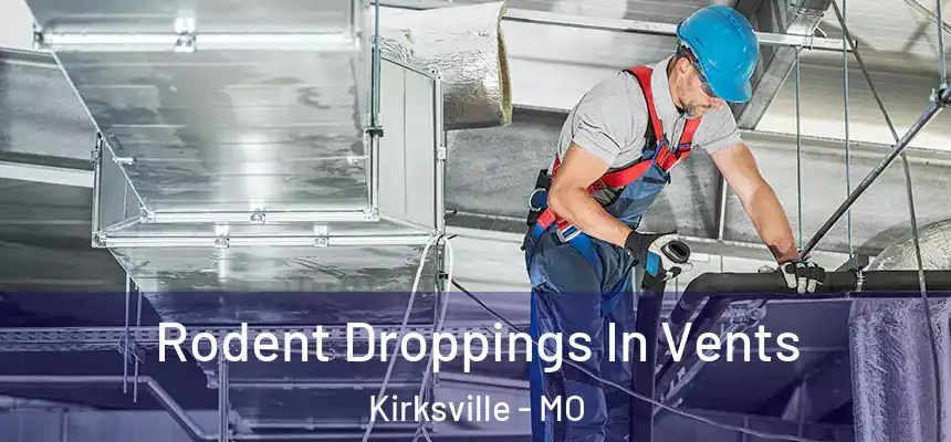 Rodent Droppings In Vents Kirksville - MO