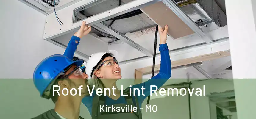 Roof Vent Lint Removal Kirksville - MO